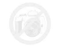 COPY Slnecna garsonka